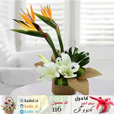 دسته گل لیلیوم و پرنده ی بهشتی دسته گل لیلیوم و پرنده ی بهشتی